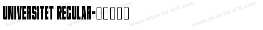Universitet Regular字体转换